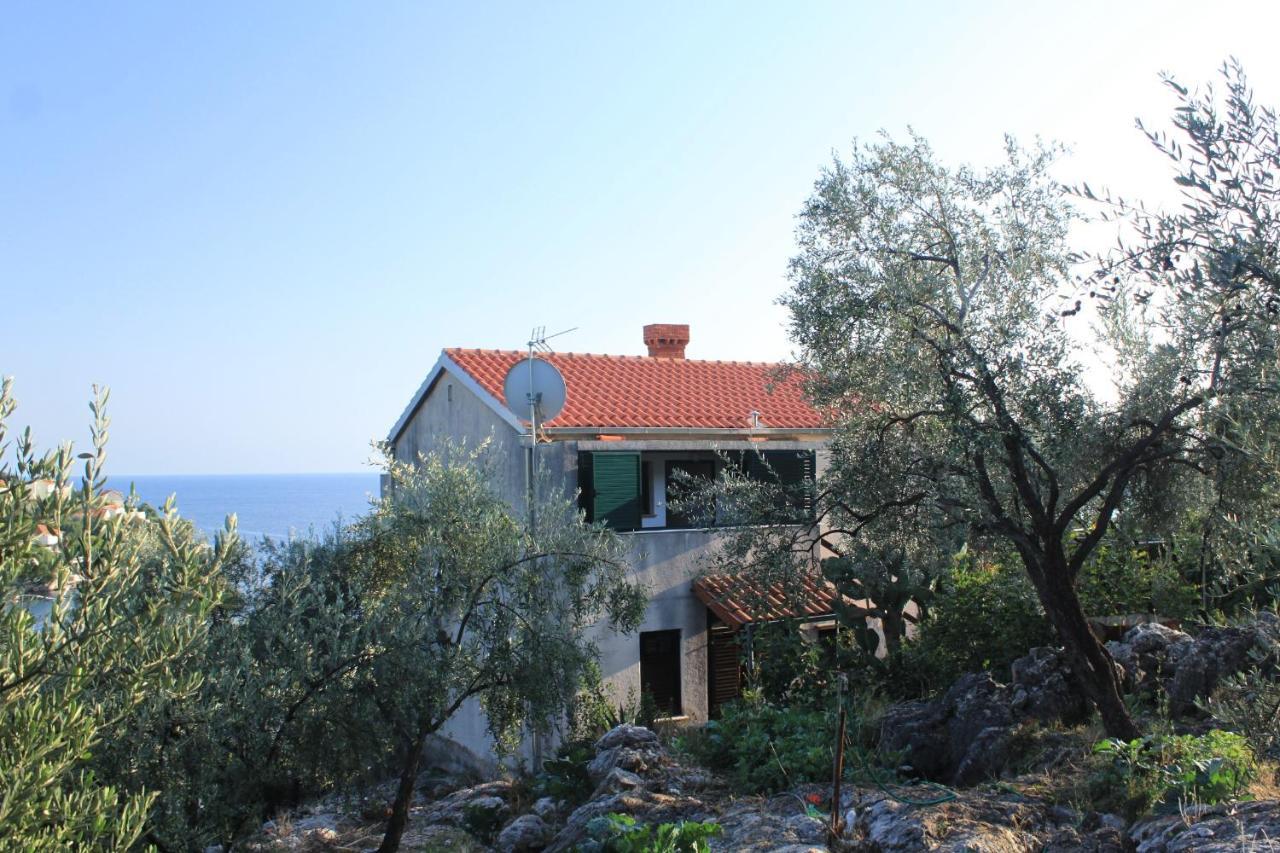 Apartments By The Sea Molunat, Dubrovnik - 8550 Zewnętrze zdjęcie